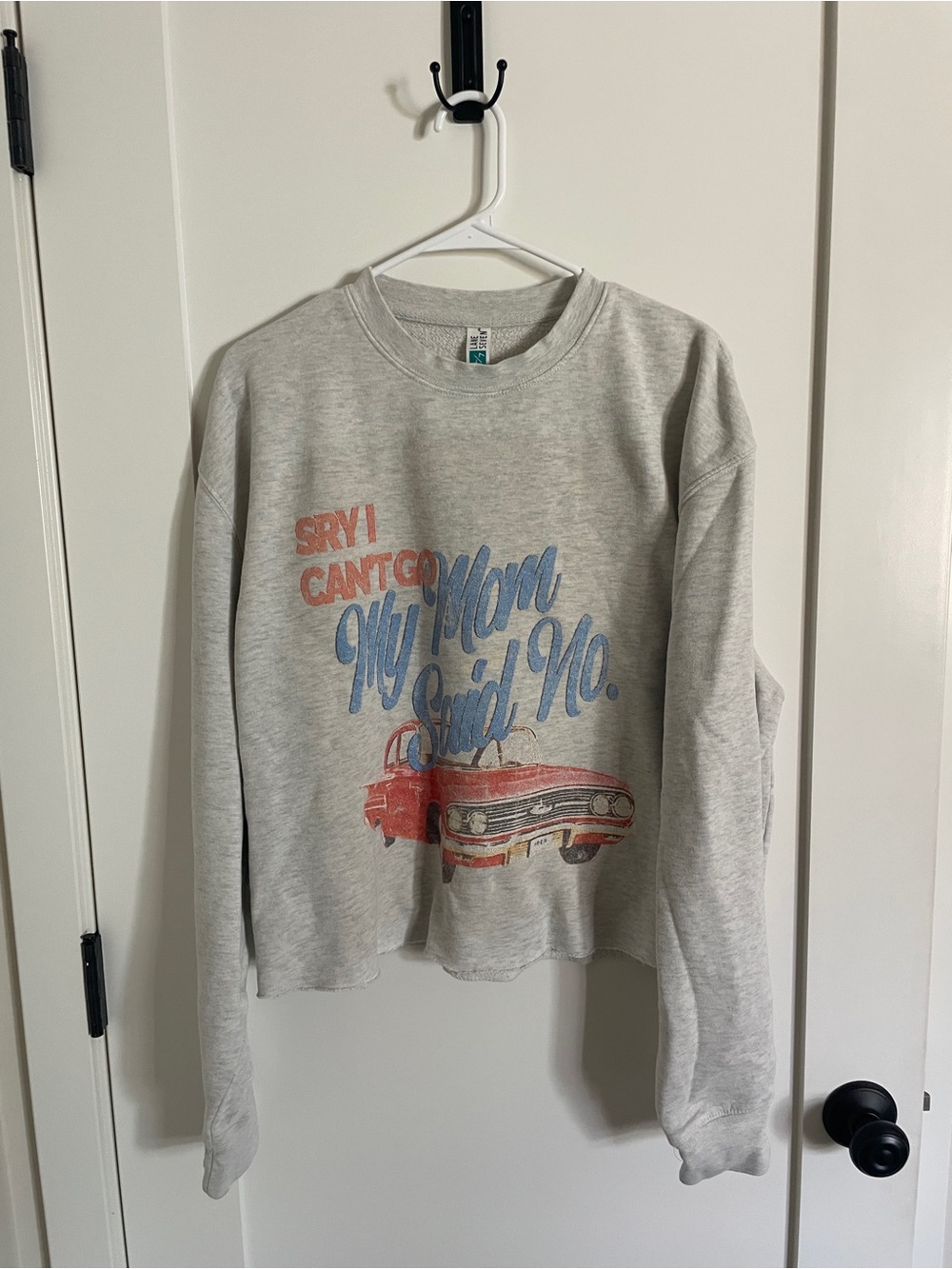 Vintage Style “Sorry I Can’t Go, My Mom Said No” Cropped Graphic Sweatshirt